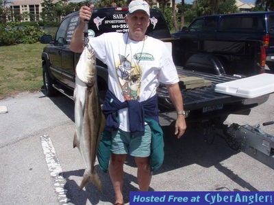 Jupiter Inlet Cobia