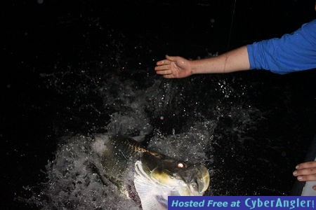 Click to Enlarge Photo