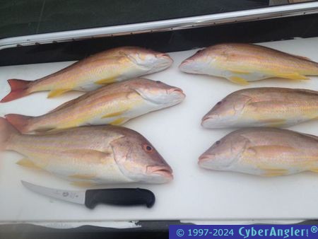 Click to Enlarge Photo