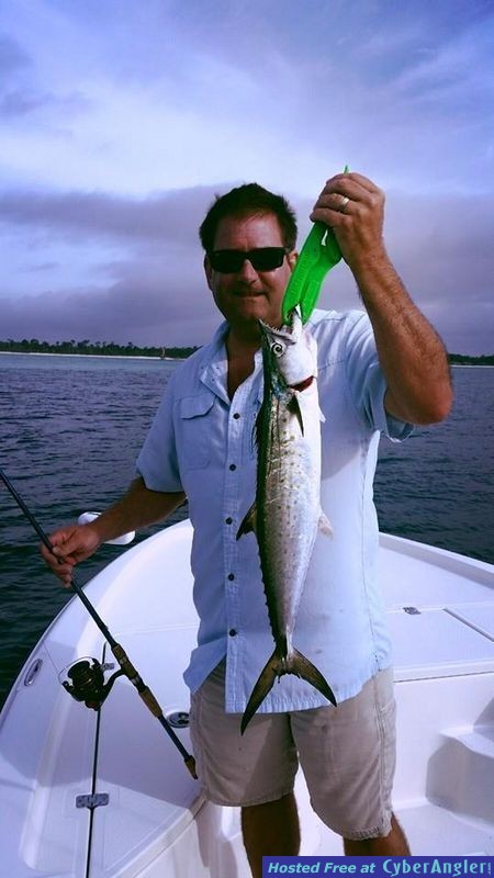 Spanish Mackerel