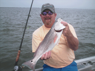 www.captdaves.com