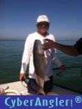 Anna Maria Fishing Charters