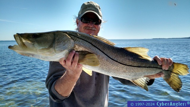 Anna Maria Fishing Charters
