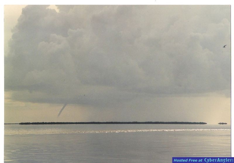 Horseshoe Keys Fl