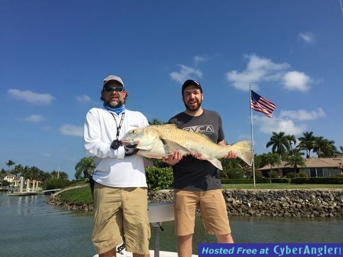 60lb. Black Drum