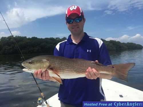 Lots of Fish In Tampa - 40 inchers almost a Guarantee