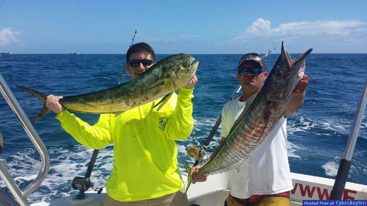 dolphin and wahoo