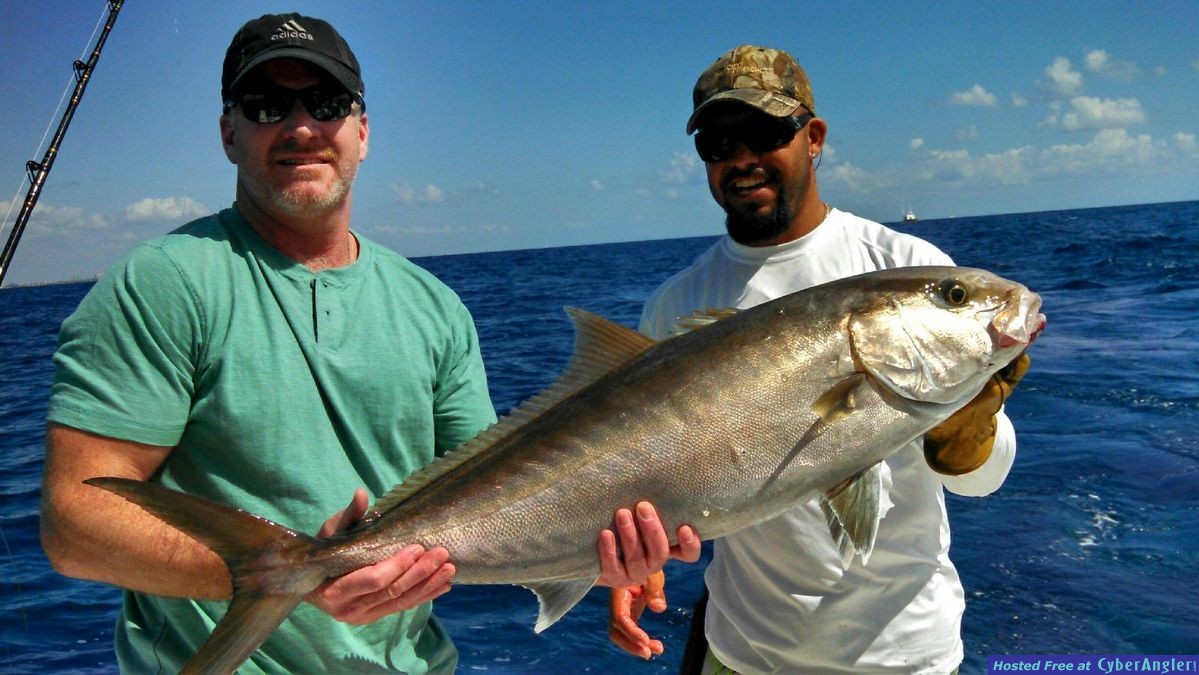 amberjack