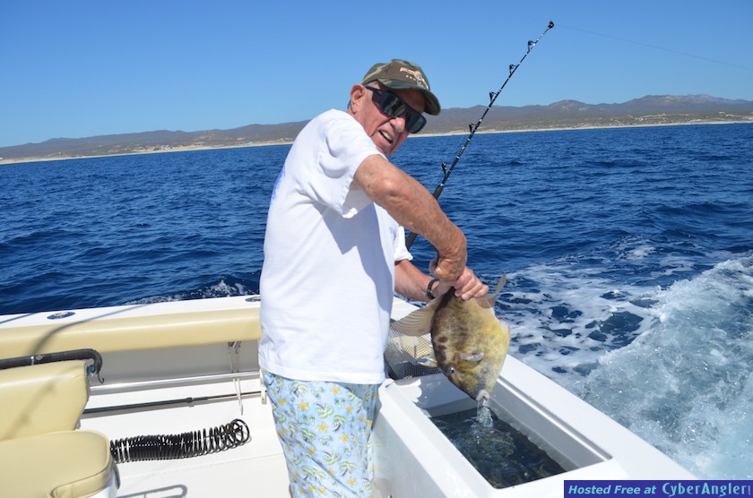 Click to Enlarge Photo