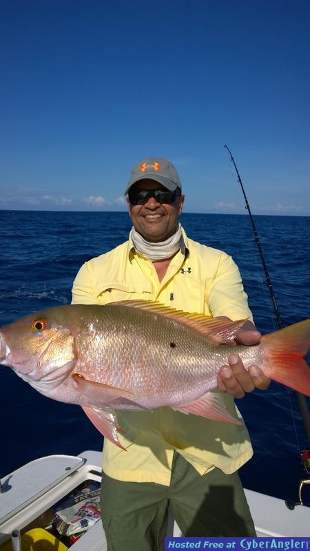 Click to Enlarge Photo