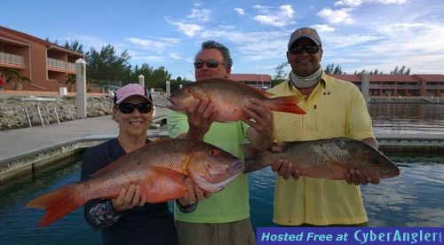 Click to Enlarge Photo