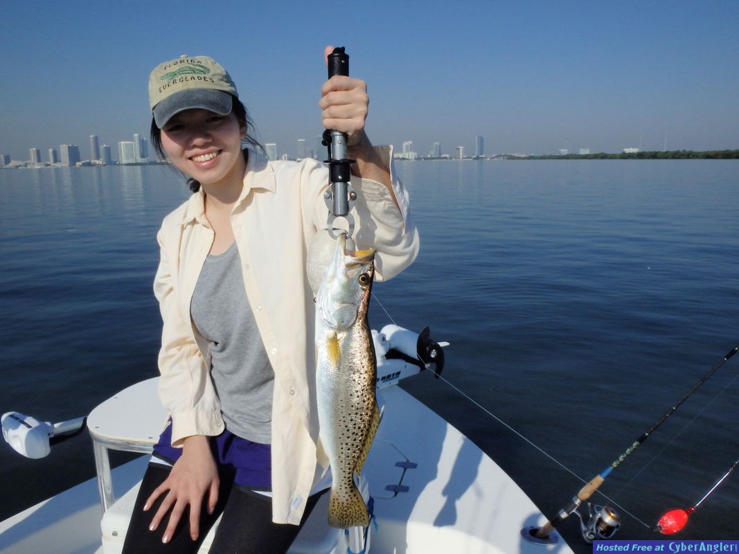 Bin_n_sea_trout