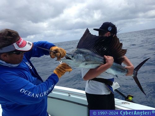 Click to Enlarge Photo