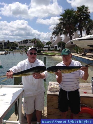 Click to Enlarge Photo