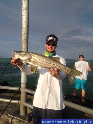 Click to Enlarge Photo