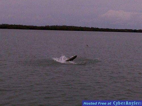 Click to Enlarge Photo