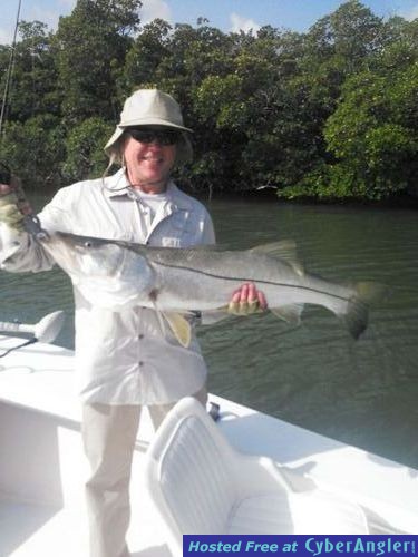 Click to Enlarge Photo