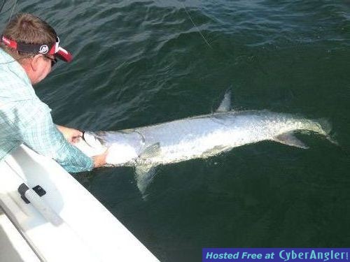 Click to Enlarge Photo