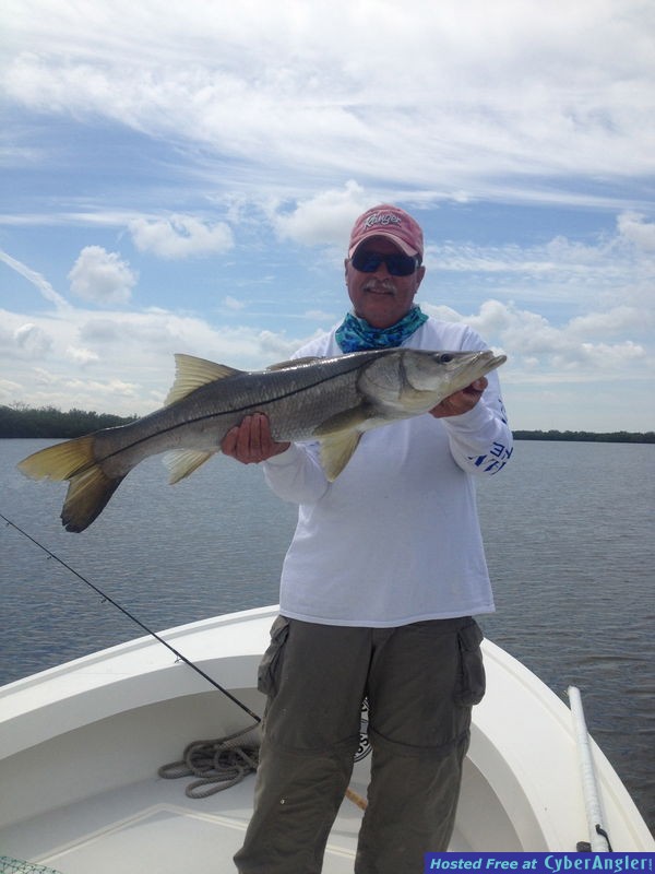 snook, reds, trout, snapper