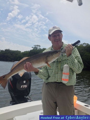 snook, reds, trout, snapper