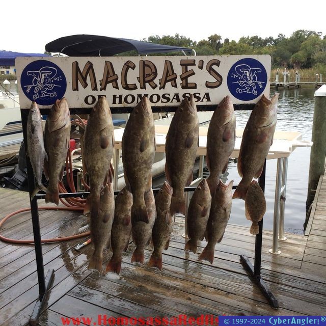 Fishing Homosassa, FL