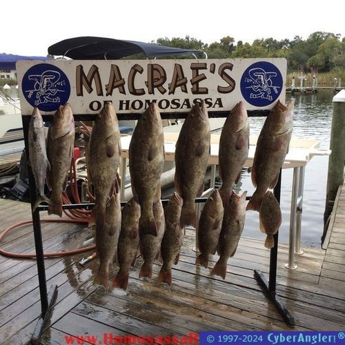 Click to Enlarge Photo