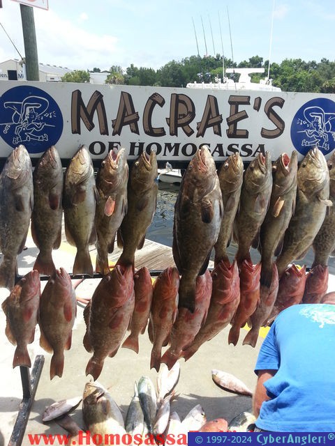 Fishing Homosassa, FL
