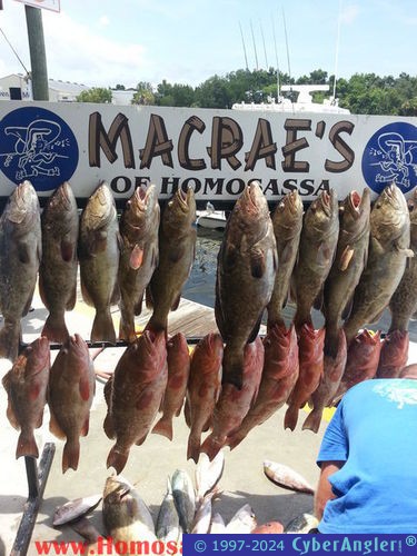 Click to Enlarge Photo