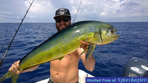 Click to Enlarge Photo