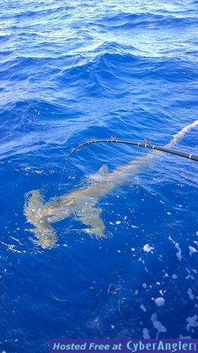 Click to Enlarge Photo