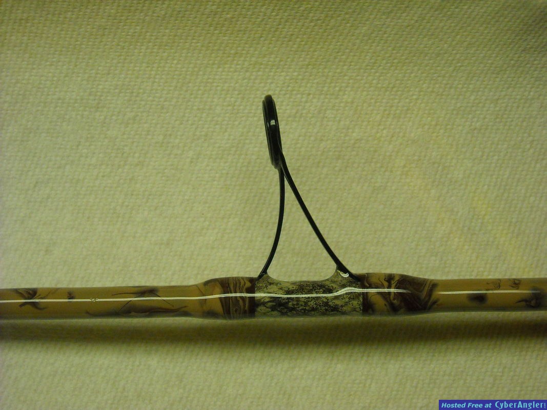 Rattle snake skin