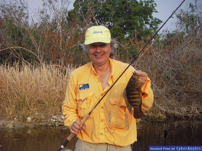 Cichlids on FLY