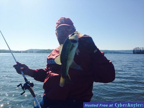 Guntersville Bass Guides