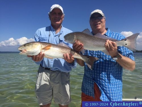 Click to Enlarge Photo