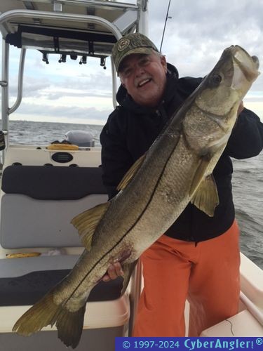 Click to Enlarge Photo