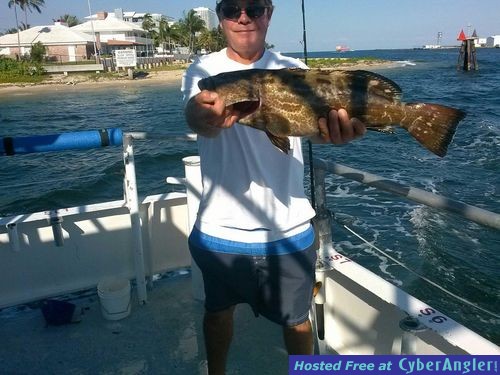 black grouper