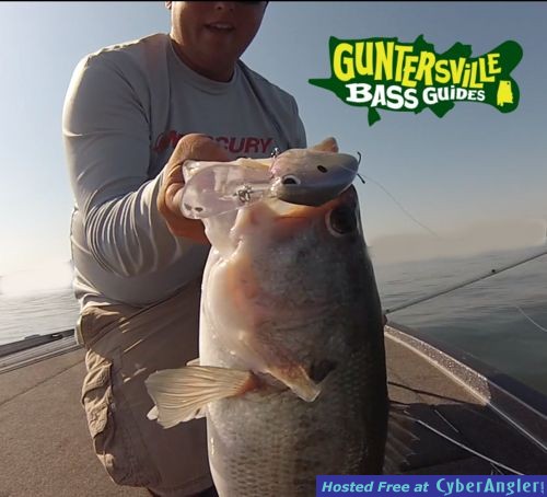 Click to Enlarge Photo