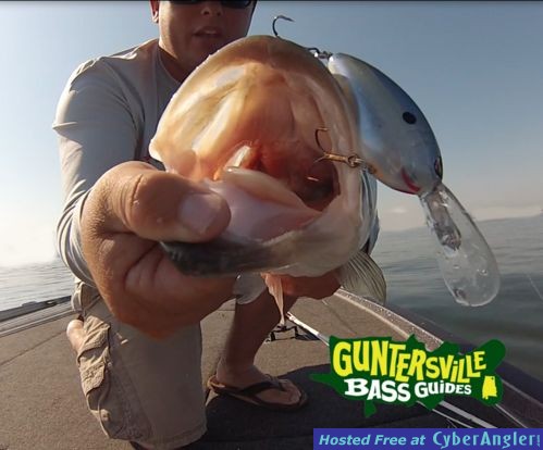 Click to Enlarge Photo