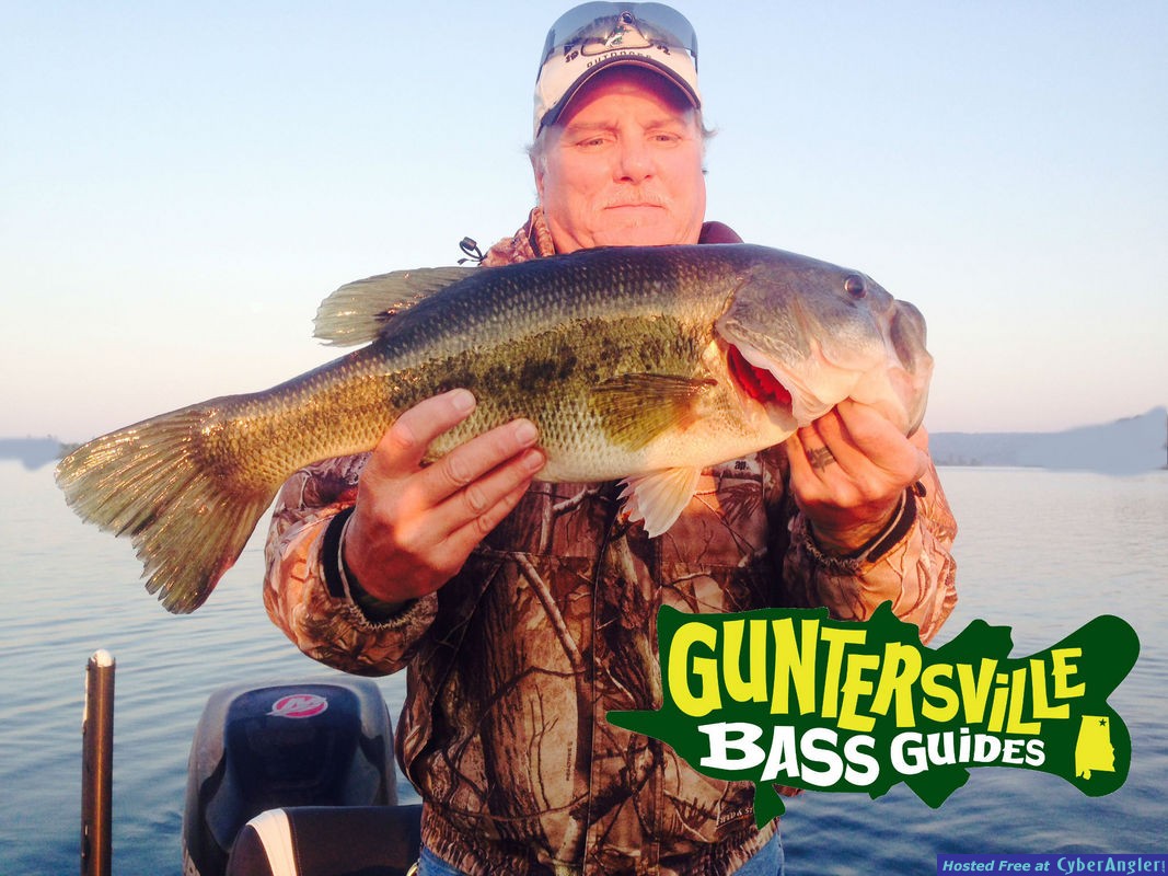 Guntersville Bass Guides