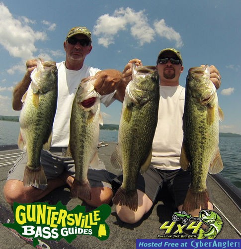 Click to Enlarge Photo