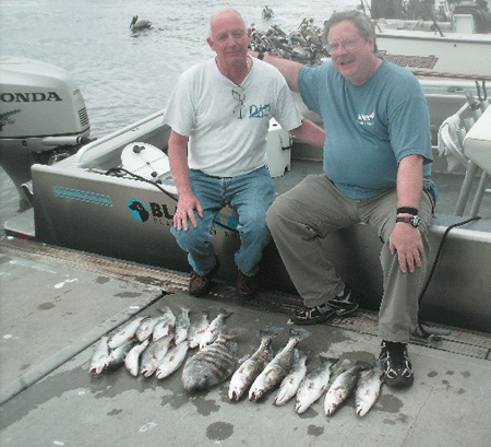 www.captdaves.com