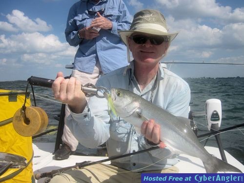 Bill Miller Sarasota fly bluefish
