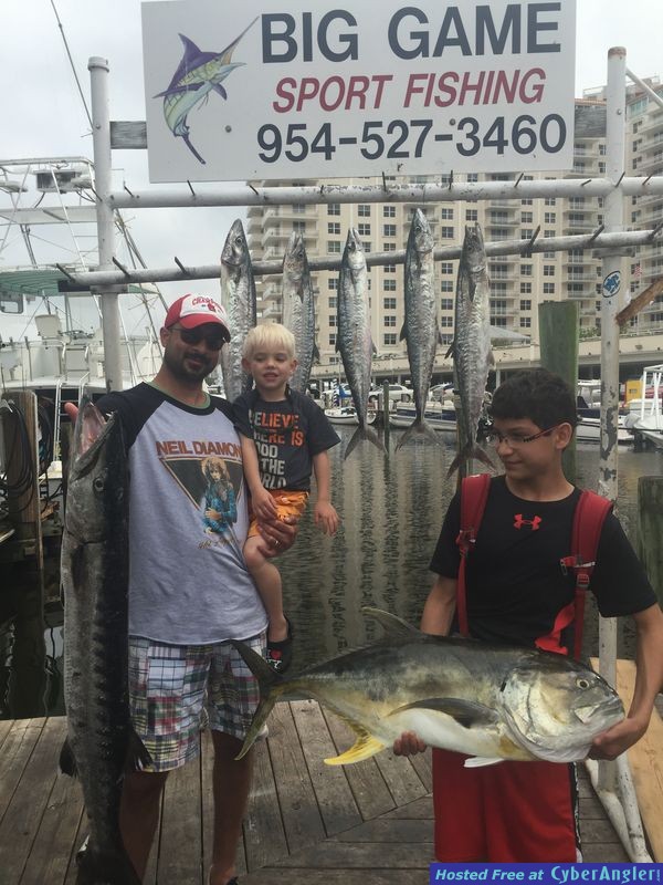 kingfish barracuda and jack
