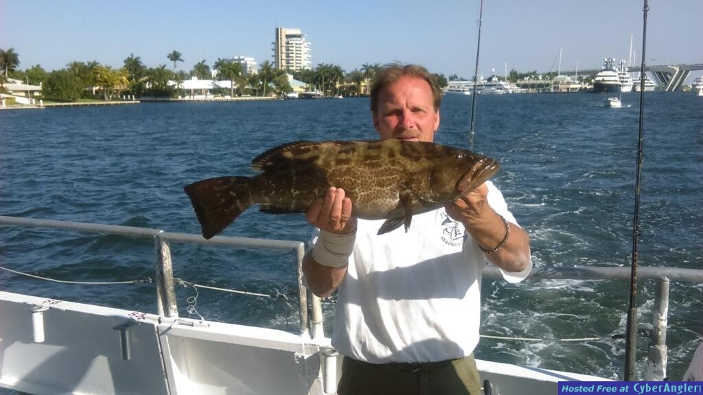 black grouper