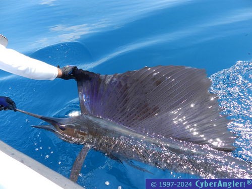 Click to Enlarge Photo