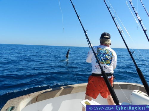 Click to Enlarge Photo