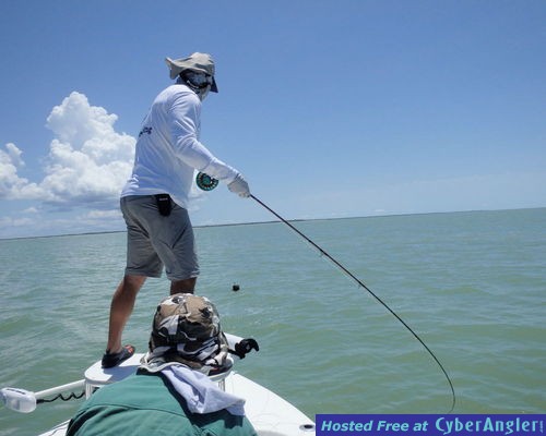 Click to Enlarge Photo