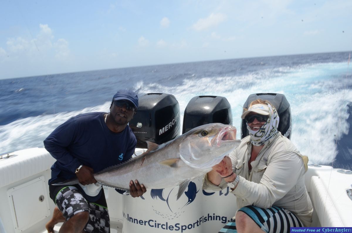 Key west wrecks full of amberjacks !