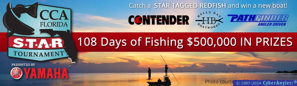 CCA_Star_Header_
