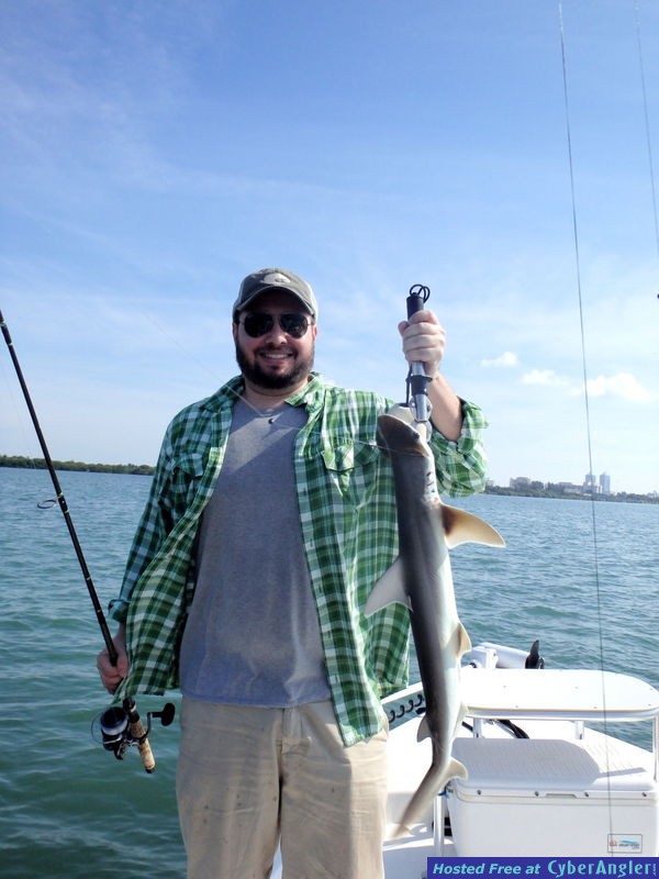Ariel_n_bonnethead